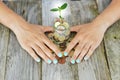 BusinesswomanÃ¢â¬â¢s palms protecting a green plant growing from a jar full of cash money, savings or incomes protection concept Royalty Free Stock Photo